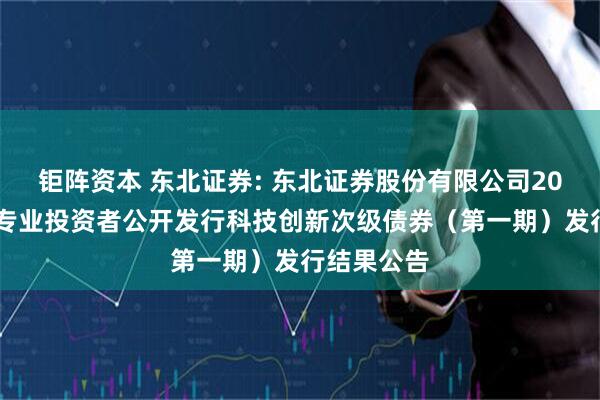 钜阵资本 东北证券: 东北证券股份有限公司2025年面向专业投资者公开发行科技创新次级债券(第一期)发行结果公告