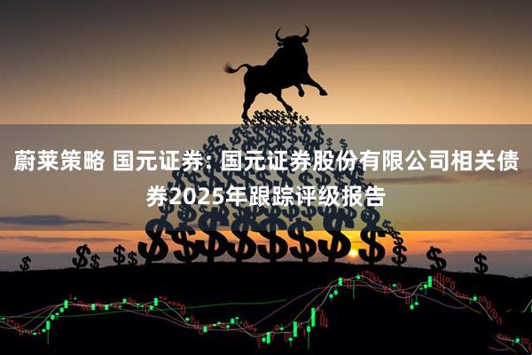 蔚莱策略 国元证券: 国元证券股份有限公司相关债券2025年跟踪评级报告