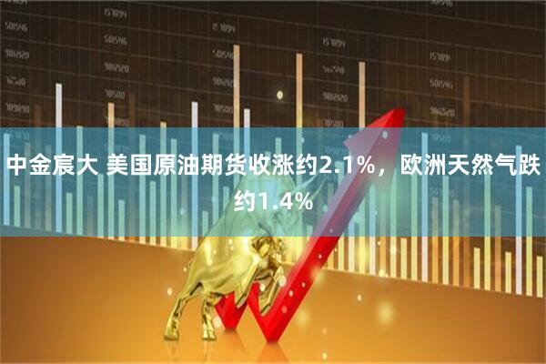 中金宸大 美国原油期货收涨约2.1%，欧洲天然气跌约1.4%